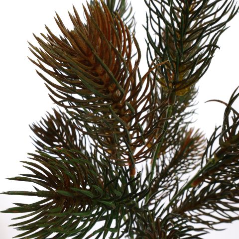 PINE BUSH 37CM GREEN