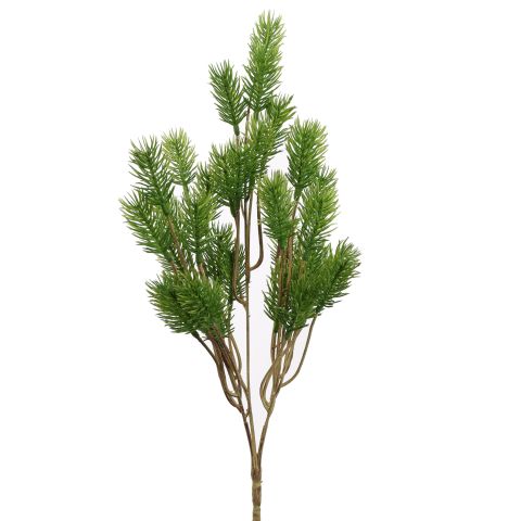 60150033-gr_0.jpg
