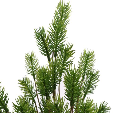 PINE BUSH 40CM GREEN
