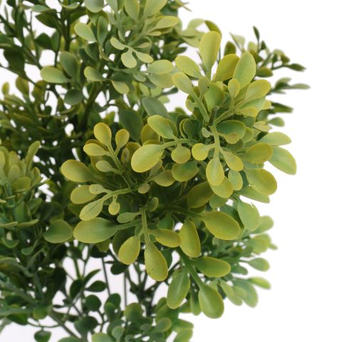BOXWOOD BUSH 35CM GREEN
