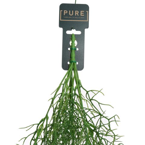 HANGING CORAL BUSH 80CM GREEN