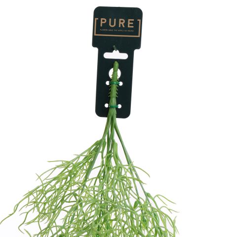 HANGING CORAL BUSH 80CM LIGHT GREEN