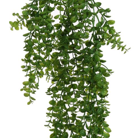 HANGING BOXWOOD 80CM GREEN