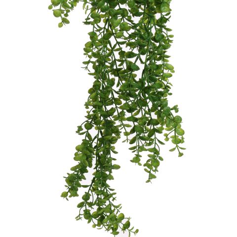 HANGING BOXWOOD 80CM GREEN