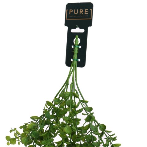 HANGING BOXWOOD 80CM GREEN