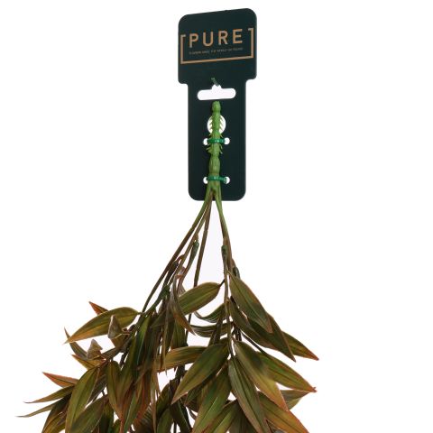 HANGING LEAVES 80CM BURGUNDY