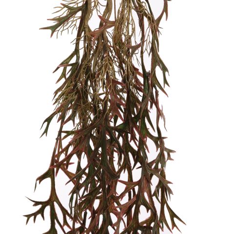 HANGING STAGHORN 110CM BURGUNDY