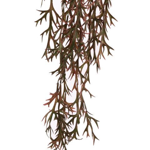 HANGING STAGHORN 110CM BURGUNDY
