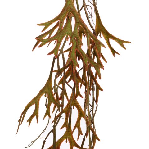 HANGING STAGHORN 130CM BURGUNDY