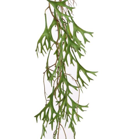 HANGING STAGHORN 130CM GREEN