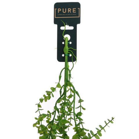 HANGING EUCALYPTUS 95CM GREEN