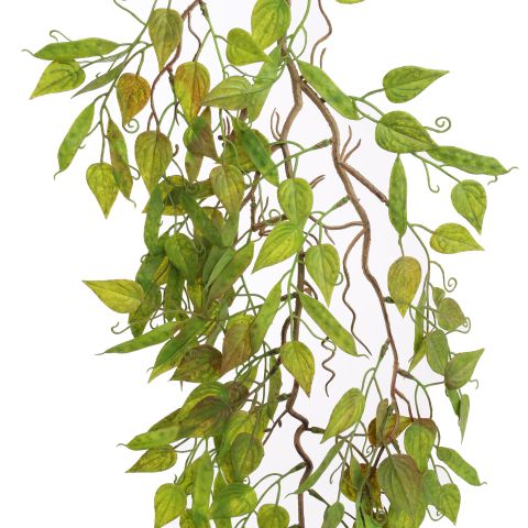 HANGING FICUS 95CM GREEN