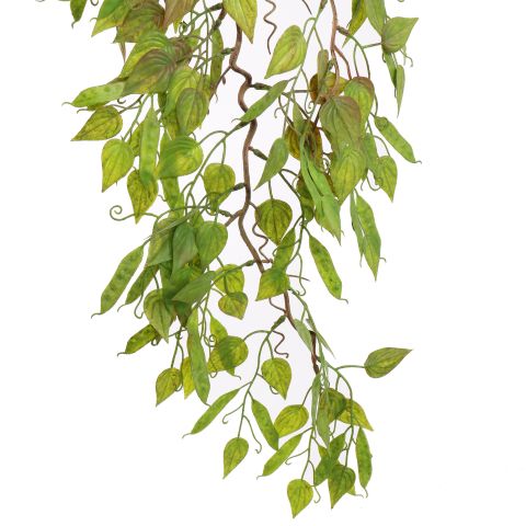 HANGING FICUS 95CM GREEN