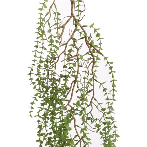 HANGING EUCALYPTUS 95CM GREEN