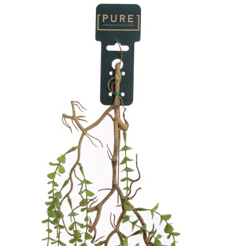 HANGING EUCALYPTUS 95CM GREEN