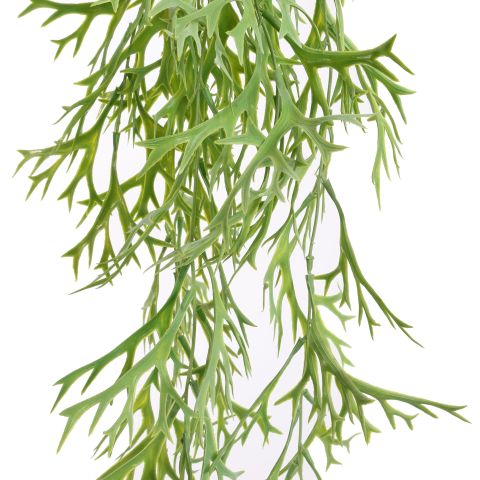 STAGHORN BUSH 75CM GREEN