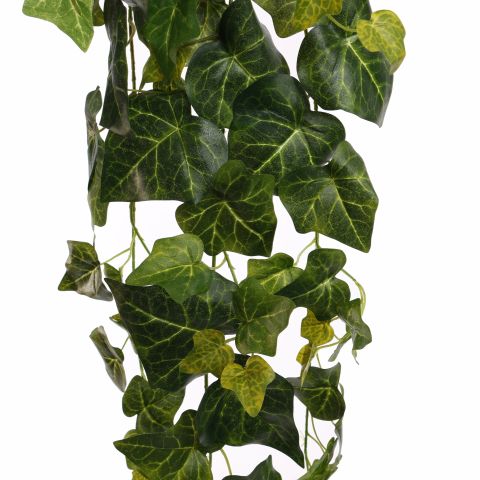 ENGLISH IVY BUSH 90CM GREEN