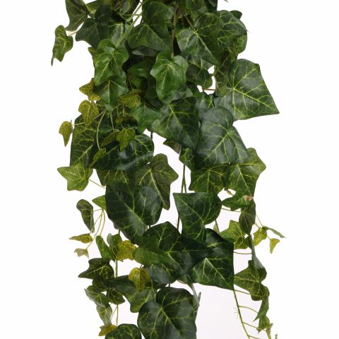 ENGLISH IVY BUSH 105CM GREEN
