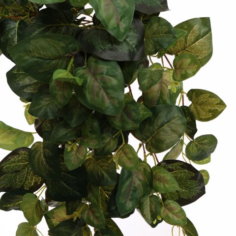 VINCA IVY BUSH 90CM GREEN