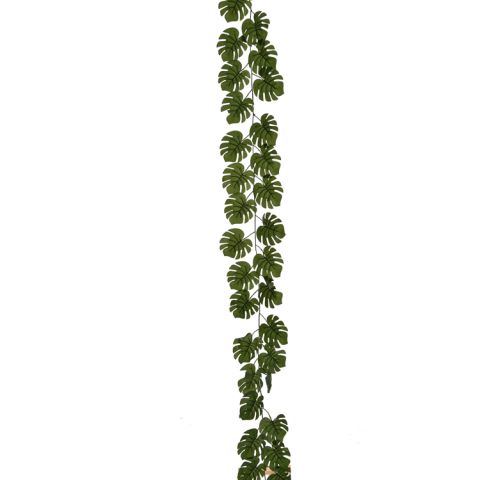 60190031 GR.jpg