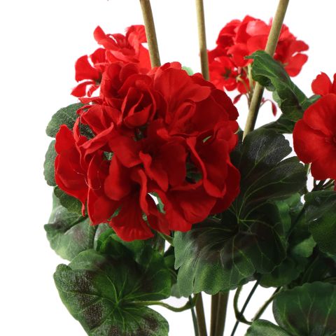 GERANIUM BUSH 49CM RED