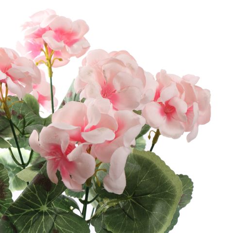 BASIC GERANIUM BUSH 47CM CREAM PINK
