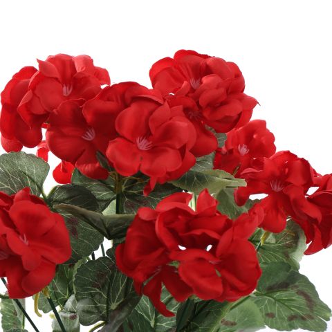 BASIC GERANIUM BUSH 47CM RED