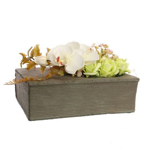 ORCHID ROSE IN BOOK PLANTER 22X16X14CM CREAM GREEN 