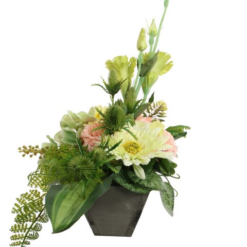 ZINNIA GERBERA ARR IN RECTANGLE 50X20X35CM PEACH