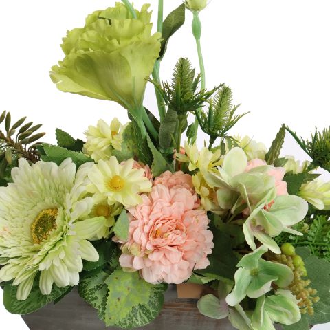 ZINNIA GERBERA ARR IN RECTANGLE 50X20X35CM PEACH