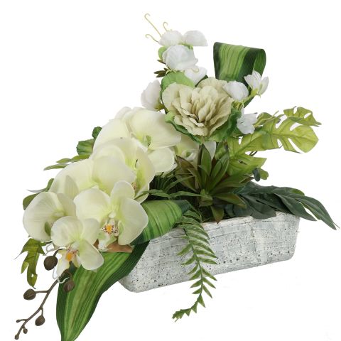 ORCHID BRASSIA ARR IN PLANTER 30X30X40CM GREEN