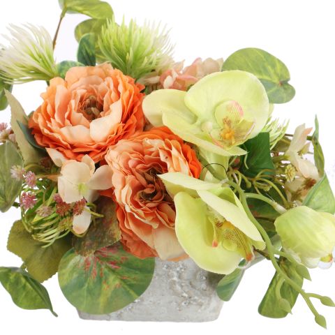 ROSE ORCHID ARR IN SQUARE PLANTER 20X25X25CM ORANGE