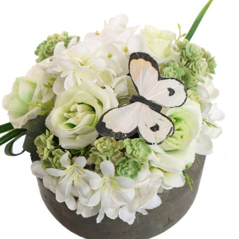 ROSE HYDRANGEA ARR IN ROUND POT D20X15CM GREEN