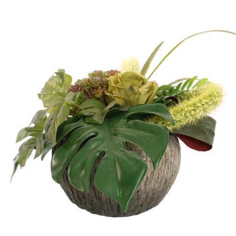 ROSE MINI AGAVE ARR IN ROUND PLANTER D28X22CM GREEN