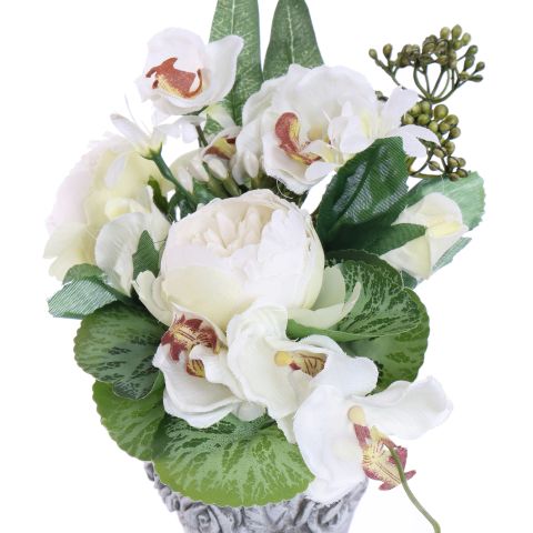 ROSE ORCHID ARR IN HANGING PLANTER 18X10X34CM CREAM