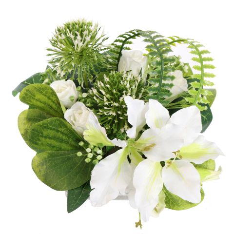 BAUHINIA ALLIUM ARR ON SQUARE POT 20X20X18CM WHITE