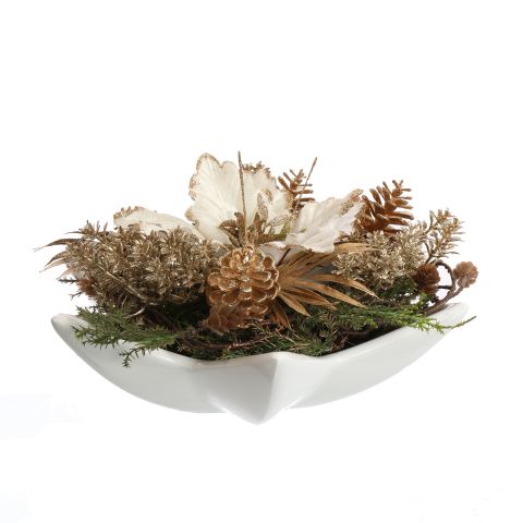 POINSETTIA IN STAR PLATE 30X16CM CREAM