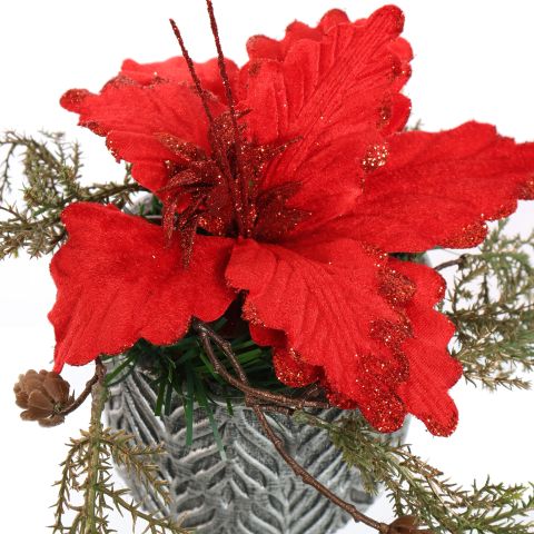 PIONSETTIA ARR IN ROUND POT D19X17CM RED