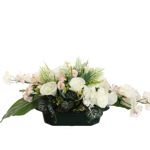 ROSE ORCHID ARR IN PLASTIC POT 80X30X28CM ASSORTED