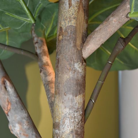 FIDDLE LEAF TREE 225CM GREEN