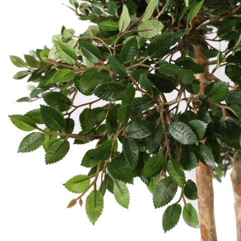 ELM TREE 150CM GREEN