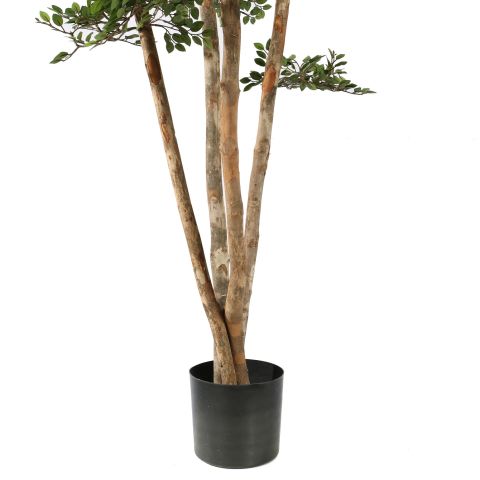 ELM TREE 150CM GREEN