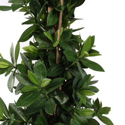 SWEET LINK TREE 110CM GREEN