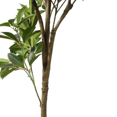 SHIKIBA TREE 120CM GREEN