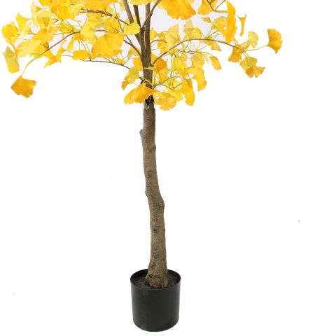 GOLDEN GINGKO 180CM YELLOW