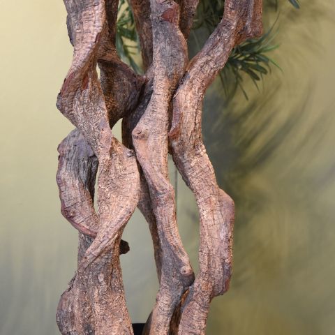 PODOCARPUS TREE X7 175CM GREEN