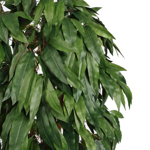 MULTI VINE MANGO 210CM GREEN