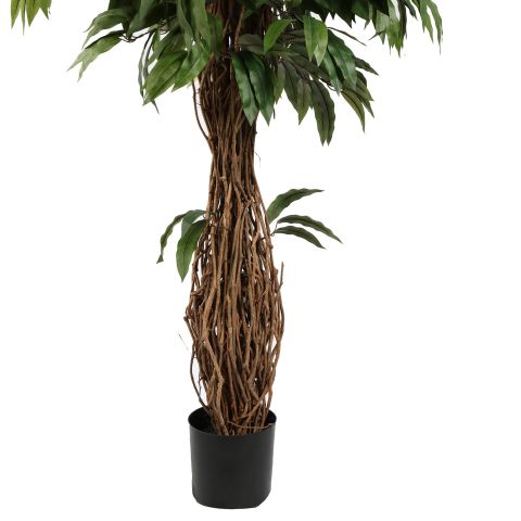 MULTI VINE MANGO 210CM GREEN