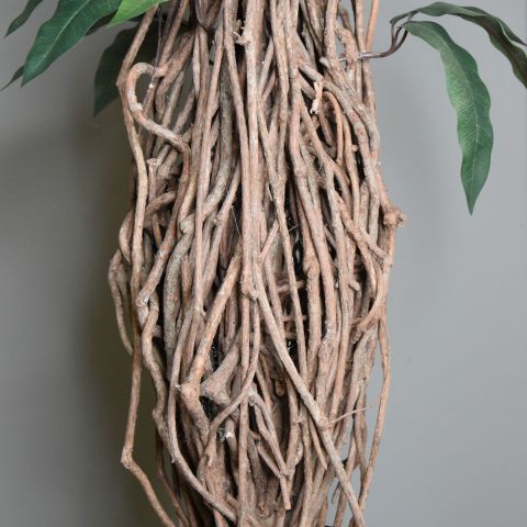 MULTI VINE MANGO 210CM GREEN