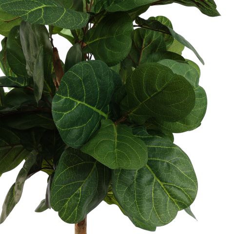 FIDDLE LEAF TREE 150CM GREEN